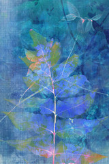 Sticker - Beautiful blue grunge background with natural leaves in blue