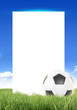 © solvod - soccer ball frame against the blue sky