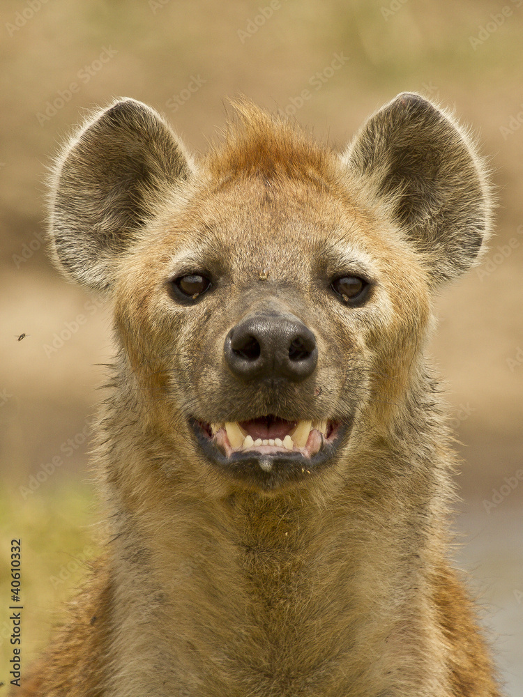 1000_F_40610332_xhHpbL1eHYYf8P