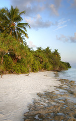 Wall Mural - Turquoise Lagoon / Atoll with beach on the Maldives (Malediven)