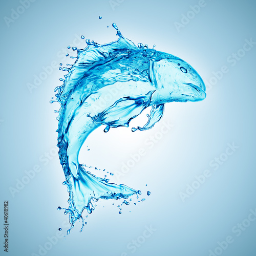 Naklejka na szybę water fish splash isolated on white background
