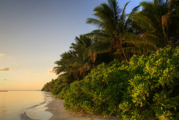 Wall Mural - Perfect beach on the Maldives (Malediven)