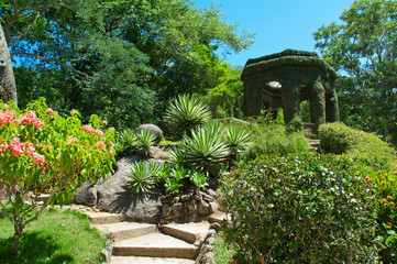 Fototapete - Botanical garden. Rio de Janeiro