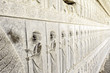 bas-relief of Persepolis in Fars Province, Shiraz, Iran