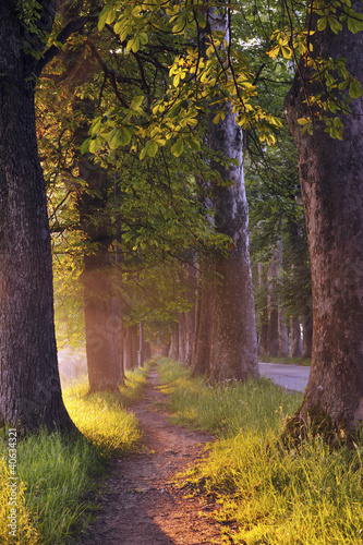 Naklejka - mata magnetyczna na lodówkę sunrise in beautiful alley