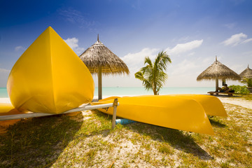 Wall Mural - yellow boats at the beach