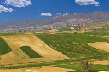 Beautiful green scenery - fields and mountain