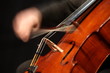 © iMAGINE - violoncelliste