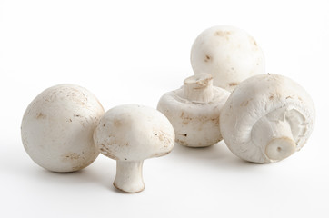 Canvas Print - Weiße Champignons