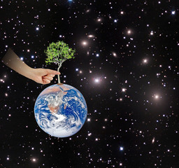 Wall Mural - Tree on Earth as a symbol of peace.Elements of this image furnis