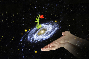 Wall Mural - flower at center of galaxy.elements of this image furnished by
