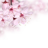 160_f_40666118_uwsyay1tfahwpng2ussnbnhkkray7lkr