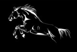 Fototapeta Konie - horse jumping on black vector