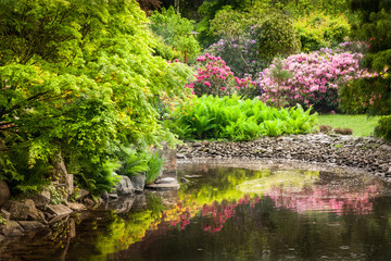 Garden full of flowers