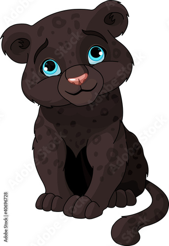 Valokuva  Black panther cub