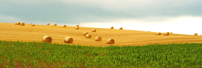 Wall Mural - bales of wheat