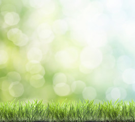 Wall Mural - fresh spring green grass