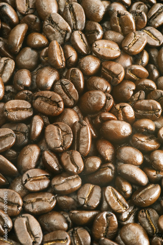Naklejka dekoracyjna coffee bean