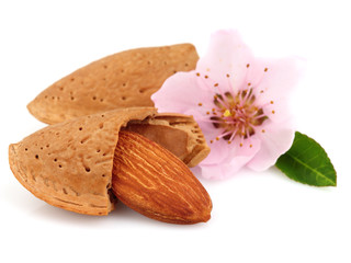 Wall Mural - Sweet almonds with flower