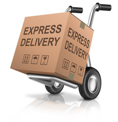 Wall Mural - express delivery cardboard box