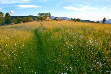 Wall Mural - mining field