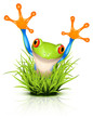 Little tree frog on grass