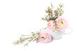 Bouquet of pink ranunculus