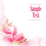 Lily flower greeting card