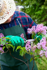 Wall Mural - Spring garden concept