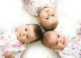 Fototapeta Lawenda - Sweet triplet