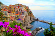 Cinque Terre coast of Italy with flowers 