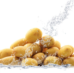 Wall Mural - patate splash