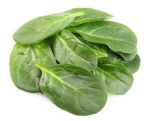 Leaves Of Spinach