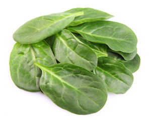 Leaves of spinach