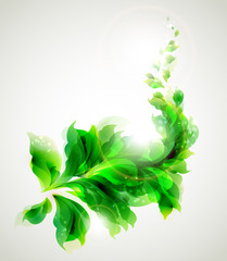 Wall Mural - green branch with abstract leaves