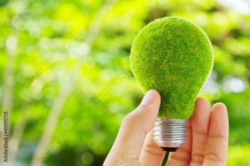 Cuadros en Lienzo hand holding eco light bulb energy concept