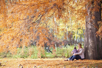 Wall Mural - Autumn