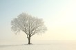 Lonely tree in a field on a sunny winter morning
