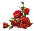 Decorations of red roses blooms