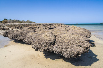 Poster - Andavadoaka lagoon