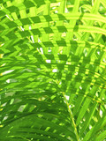 160_f_40970950_uabmqydtrkrs5ddqn5s8vurkidcyje7d