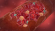 Blutbahn/Kapillare außen mit allen Blutzellen