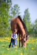 Child and big horse standing in the field at spring.