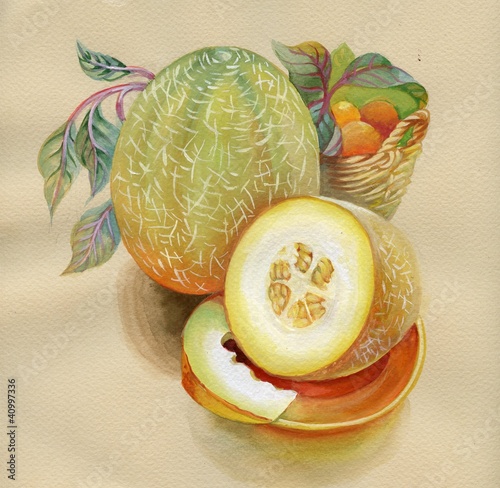 Nowoczesny obraz na płótnie Still Life with melon