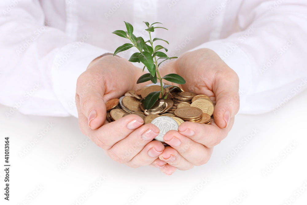 Woman hands with coins and plant