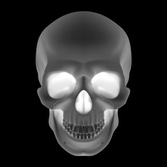 Poster - Human Skull