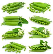 Collection Of Fresh Green Pea