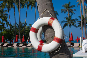 Wall Mural - Lifebuoy hanging on a palm tree, Thailand.