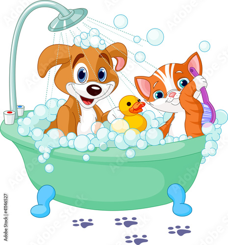 Fototapeta na wymiar Dog and Cat having a bath