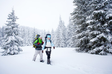 Wall Mural - hiker in the winter forest
